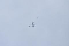 K1024_IMG_2329.1.1
