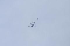 K1024_IMG_2330.1.1