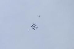 K1024_IMG_2331.1.1