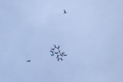 K1024_IMG_2334.1.1