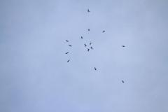 K1024_IMG_2336.1