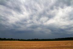 K1024_IMG_7439-2