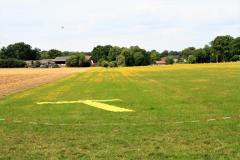 K1024_IMG_7512-2
