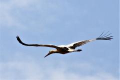 K1024_IMG_7546-2