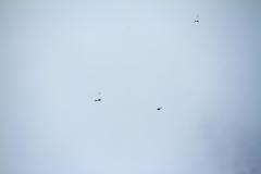 K1024_IMG_7618-2