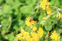 K1024_IMG_2541.1