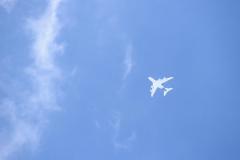 K1024_IMG_2542.1