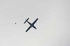 K1024_IMG_7377.1
