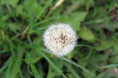 K1024_IMG_7658.1