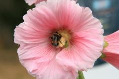 K1024_IMG_1430.1