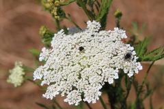 K1024_IMG_1589.1