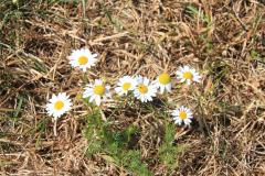 K1024_IMG_1807.1