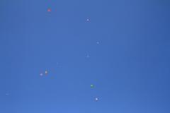 K1024_IMG_1808.1