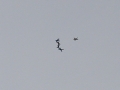 2010_06_06_30.jpg
