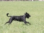 Juni 2011