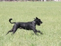 2011_06_02_01.jpg