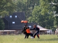 2011_06_03_02.jpg