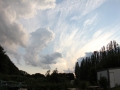 2011_06_24_ 001.jpg