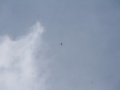 2013_06_29_17.jpg