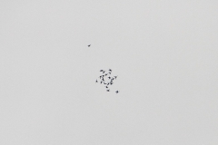 10_K1024_IMG_0317.1.1