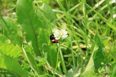 10_K1024_IMG_9780.1