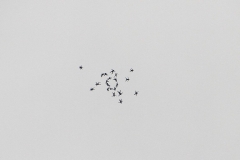 11_K1024_IMG_0318.1.1