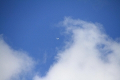 18_K1024_IMG_0666.1