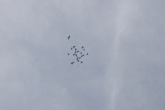 23_K1024_IMG_0409.1.1