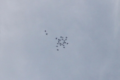 24_K1024_IMG_0410.1.1