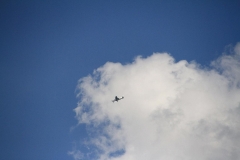 34_K1024_IMG_9927.1