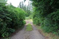 05_K1024_IMG_8489.1