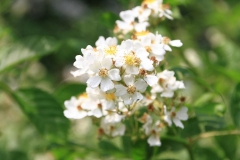 10_K1024_IMG_7744.1