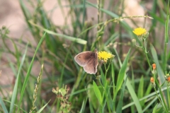 04_K1024_IMG_6908.1