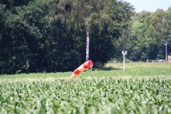 11_K1024_IMG_7206.1