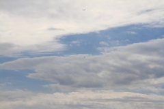 25_K1024_IMG_6956.1