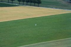 K1024_IMG_5181.1
