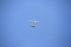 K1024_IMG_5718.1