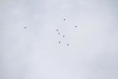 K1024_IMG_5760.1