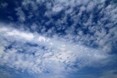K1024_IMG_0693.1