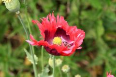 K1024_IMG_1378.1