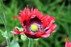 K1024_IMG_1379.1