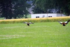K1024_IMG_6691.1
