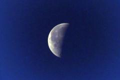 K1024_P1070165.1