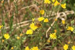 K1024_IMG_1753.1