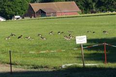 K1024_P1070052.1
