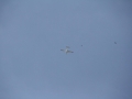 2014_03_26_03.jpg