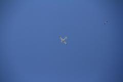 K1024_IMG_9363.1