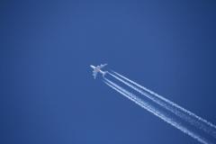 K1024_IMG_9403.1