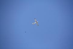K1024_IMG_9438.1