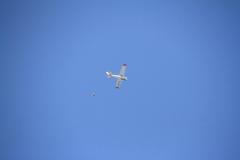 K1024_IMG_9439.1